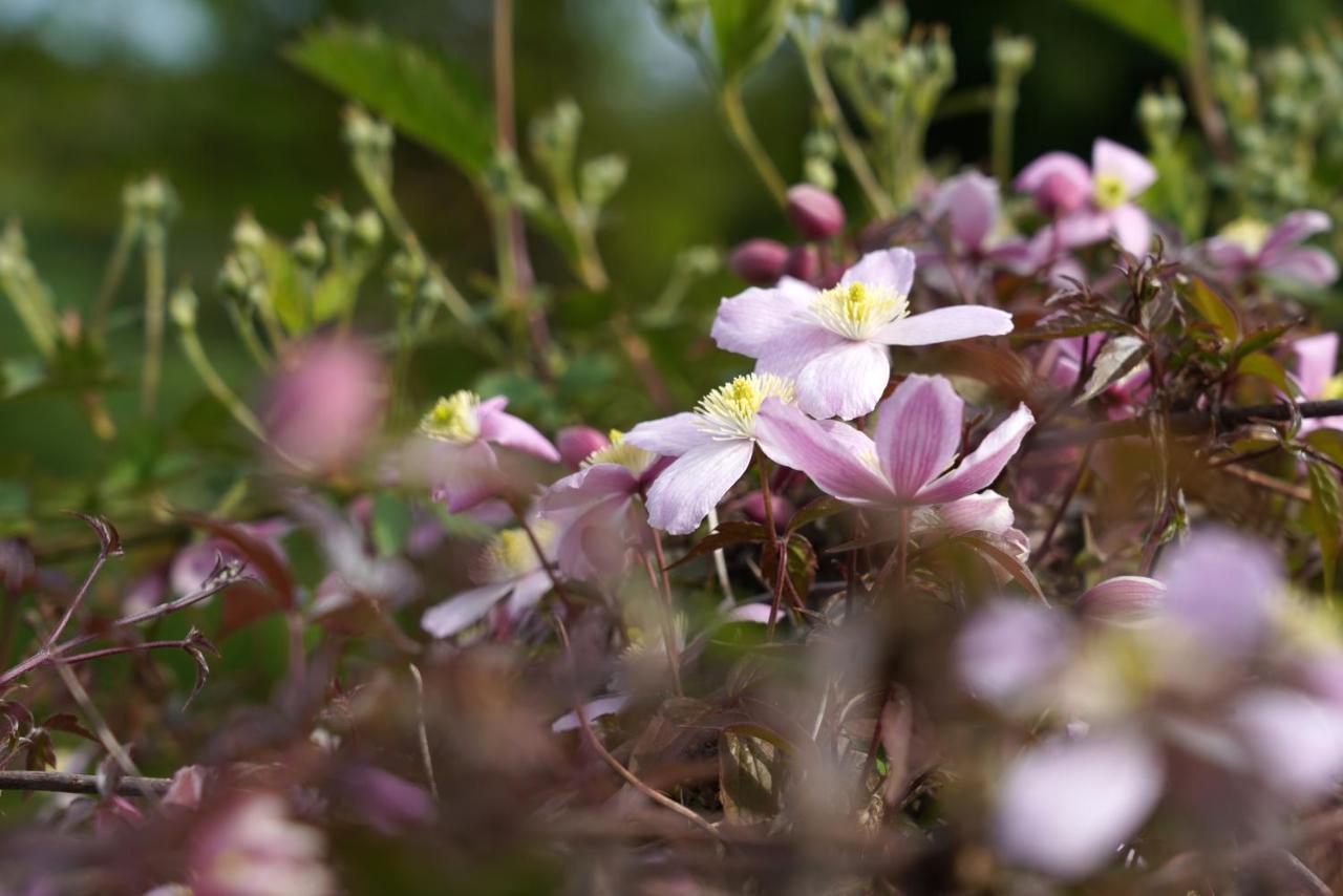 Gite Du Jardin Theux Exteriör bild